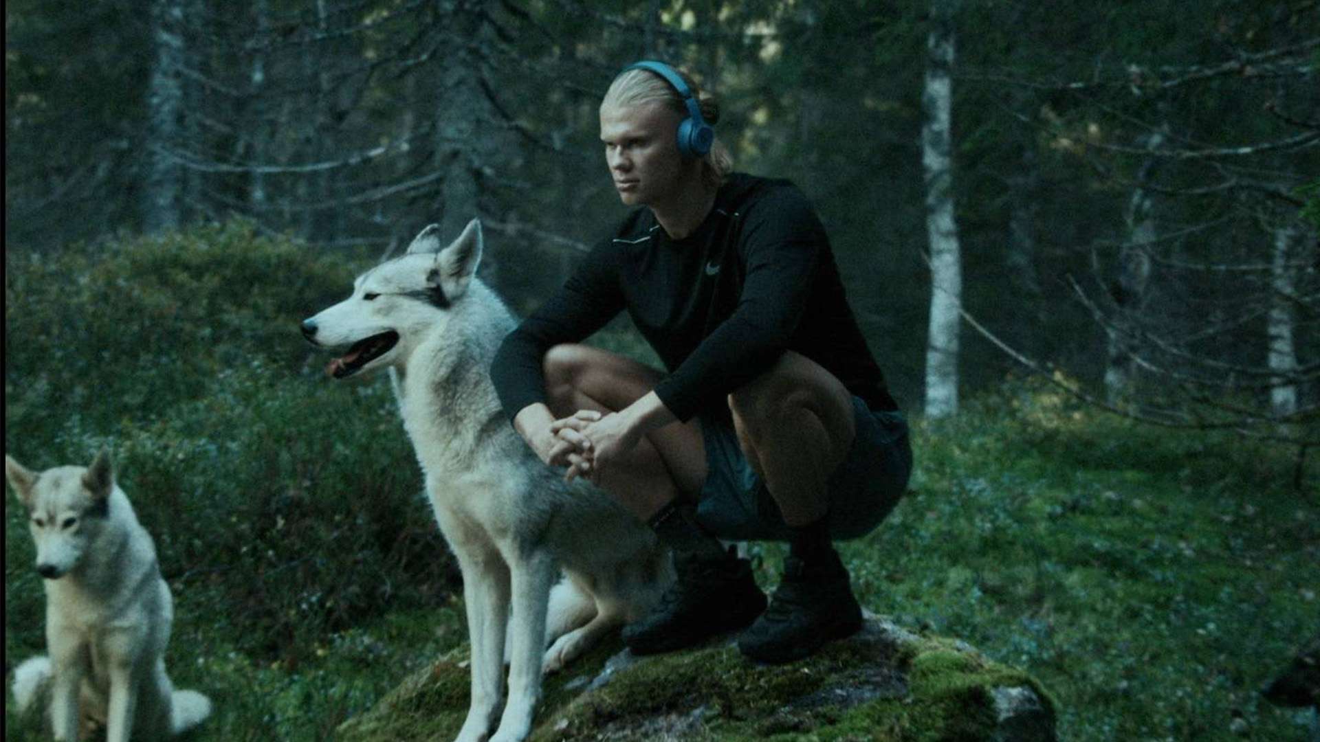 现不仅点燃 现不仅点燃